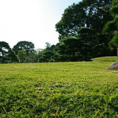 土地热线 | 广州天河南方面粉厂地块29日限时竞价 起拍价88.15亿暂无出价记录