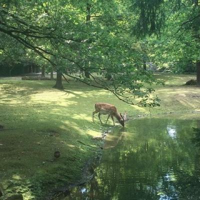 新华鲜报丨助乡村“扬名” 我国规范命名43万条乡村地名