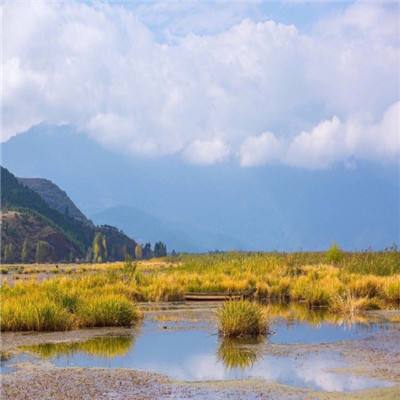 《黑神话：悟空》中的隐藏剧情和彩蛋，你发现了多少？