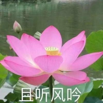 人民网三评“知网高收费”之二：收入挂帅，该调整